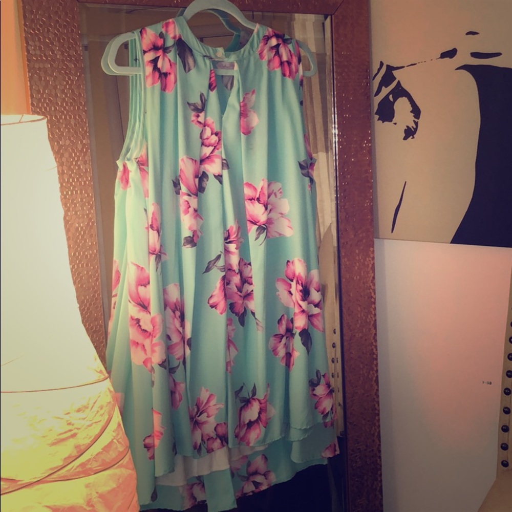 Pink Lily Boutique Floral Dress